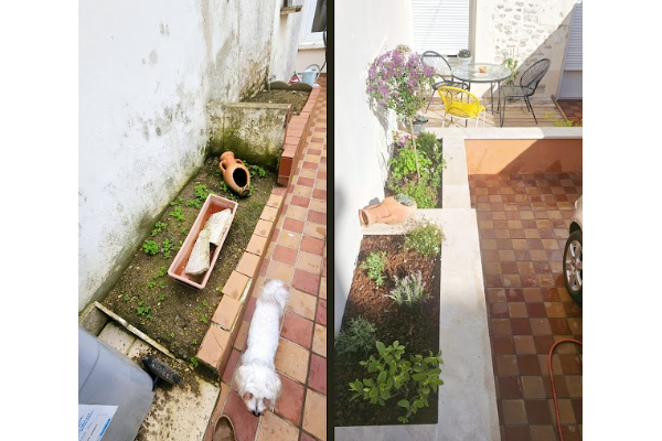 avant après massif avant après massif