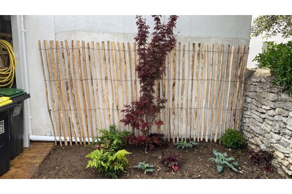 le fond du jardin au nord APRES le fond du jardin au nord APRES