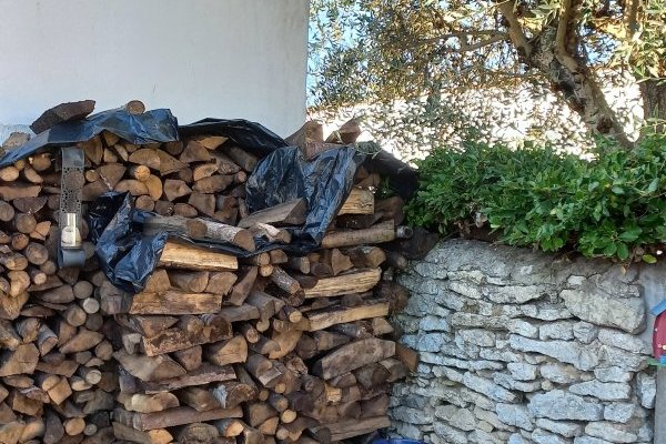 le fond du jardin au nord AVANT le fond du jardin au nord AVANT